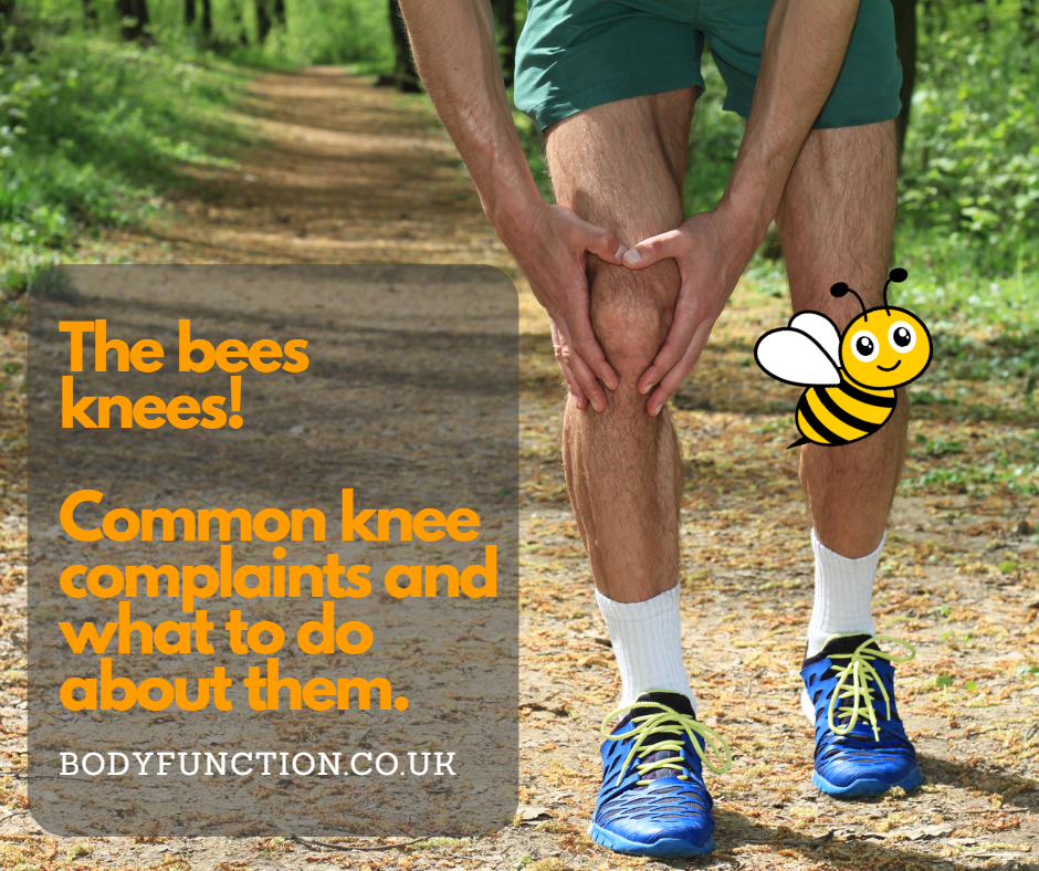 common knee complaints