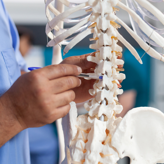 Can Osteopathy Help Spinal Stenosis? A Holistic Approach to Managing Pain and Mobility